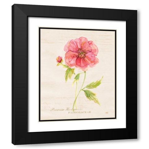 Botanical Peony Black Modern Wood Framed Art Print with Double Matting by Robinson, Carol