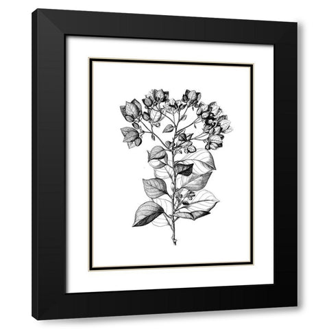 Botanical Black and Black Modern Wood Framed Art Print with Double Matting by Donovan, Kelly