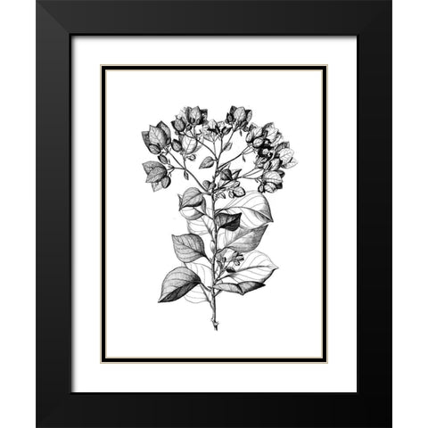 Botanical Black and Black Modern Wood Framed Art Print with Double Matting by Donovan, Kelly