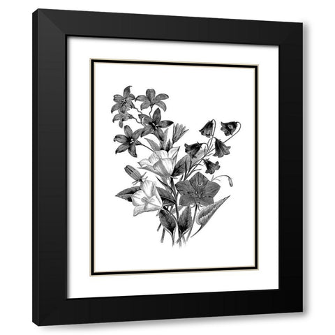 Botanical Black and Black Modern Wood Framed Art Print with Double Matting by Donovan, Kelly