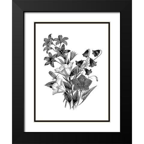 Botanical Black and Black Modern Wood Framed Art Print with Double Matting by Donovan, Kelly