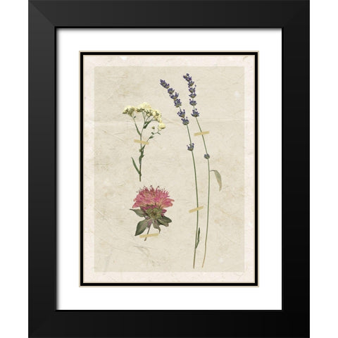 Pressed Lavender I Black Modern Wood Framed Art Print with Double Matting by Robinson, Carol