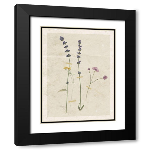 Pressed Lavender Black Modern Wood Framed Art Print with Double Matting by Robinson, Carol