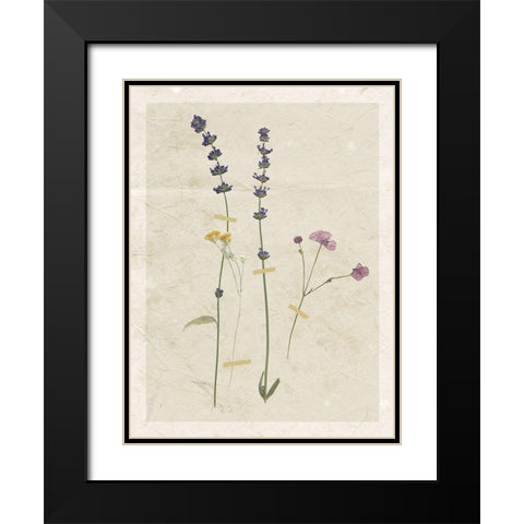 Pressed Lavender Black Modern Wood Framed Art Print with Double Matting by Robinson, Carol