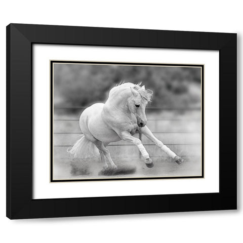 All For Show Black Modern Wood Framed Art Print with Double Matting by Klopfer, Lee