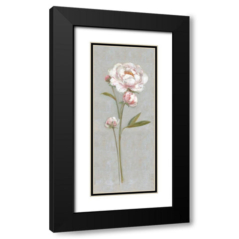 Peony Magic I Black Modern Wood Framed Art Print with Double Matting by Swatland, Sally