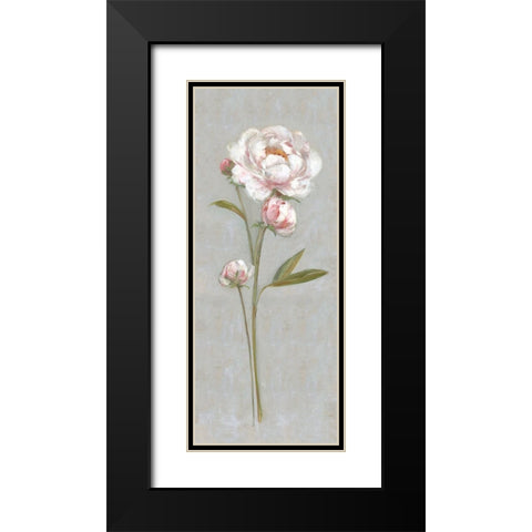 Peony Magic I Black Modern Wood Framed Art Print with Double Matting by Swatland, Sally
