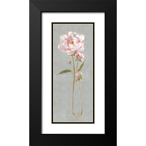 Peony Magic II Black Modern Wood Framed Art Print with Double Matting by Swatland, Sally