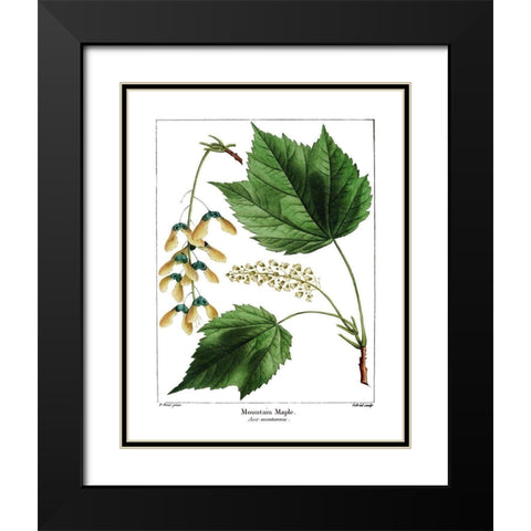 Mountain Maple Black Modern Wood Framed Art Print with Double Matting by Donovan, Kelly