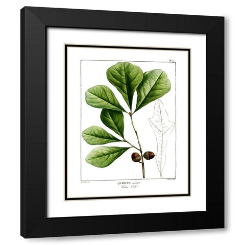 White Oak Black Modern Wood Framed Art Print with Double Matting by Donovan, Kelly