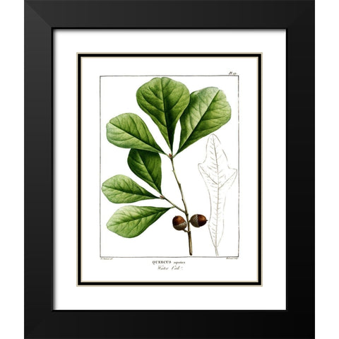 White Oak Black Modern Wood Framed Art Print with Double Matting by Donovan, Kelly