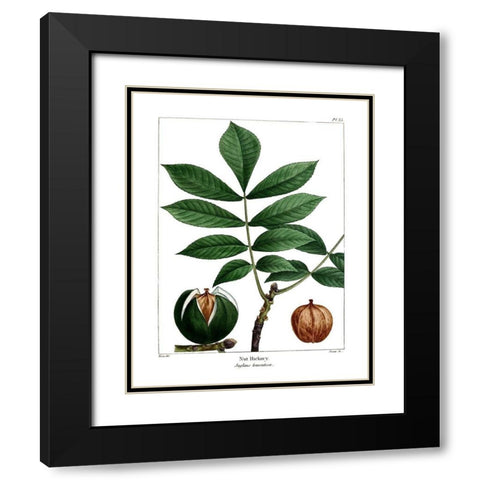 Nut Hickory Black Modern Wood Framed Art Print with Double Matting by Donovan, Kelly