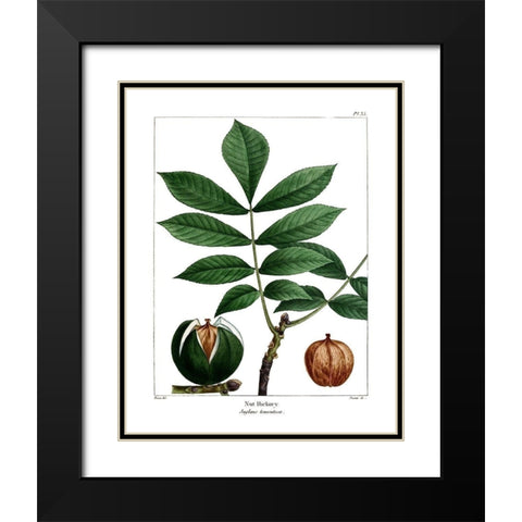 Nut Hickory Black Modern Wood Framed Art Print with Double Matting by Donovan, Kelly