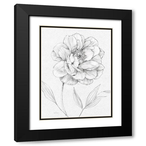 Peony Sketch Black Modern Wood Framed Art Print with Double Matting by Robinson, Carol