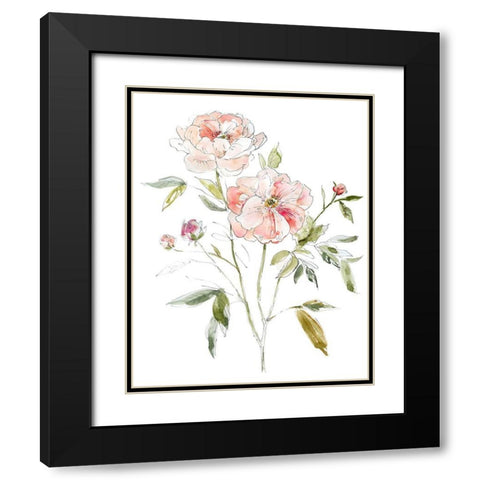 Sketchbook Cottage Rose I Black Modern Wood Framed Art Print with Double Matting by Robinson, Carol