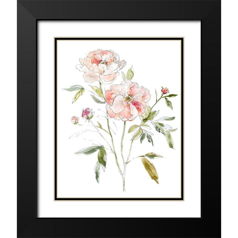 Sketchbook Cottage Rose I Black Modern Wood Framed Art Print with Double Matting by Robinson, Carol