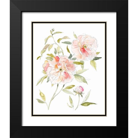 Sketchbook Cottage Rose II Black Modern Wood Framed Art Print with Double Matting by Robinson, Carol