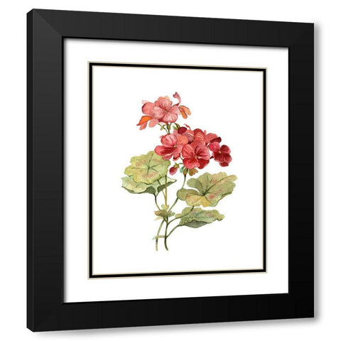 Scarlet Geranium Black Modern Wood Framed Art Print with Double Matting by Robinson, Carol