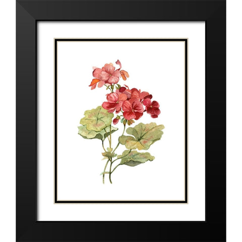 Scarlet Geranium Black Modern Wood Framed Art Print with Double Matting by Robinson, Carol