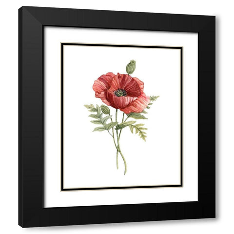 Scarlet Poppy Black Modern Wood Framed Art Print with Double Matting by Robinson, Carol
