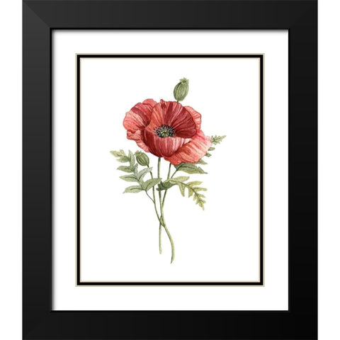 Scarlet Poppy Black Modern Wood Framed Art Print with Double Matting by Robinson, Carol