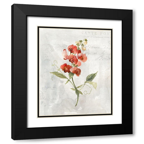 Linen Sweet Pea Black Modern Wood Framed Art Print with Double Matting by Robinson, Carol
