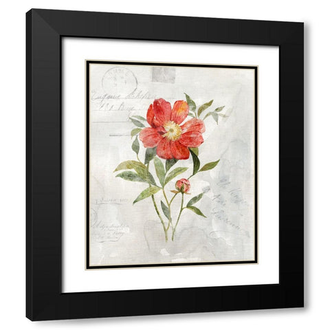 Linen Peony Black Modern Wood Framed Art Print with Double Matting by Robinson, Carol