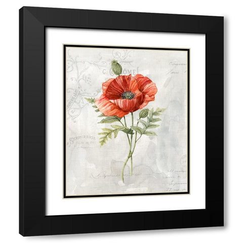 Linen Poppy Black Modern Wood Framed Art Print with Double Matting by Robinson, Carol