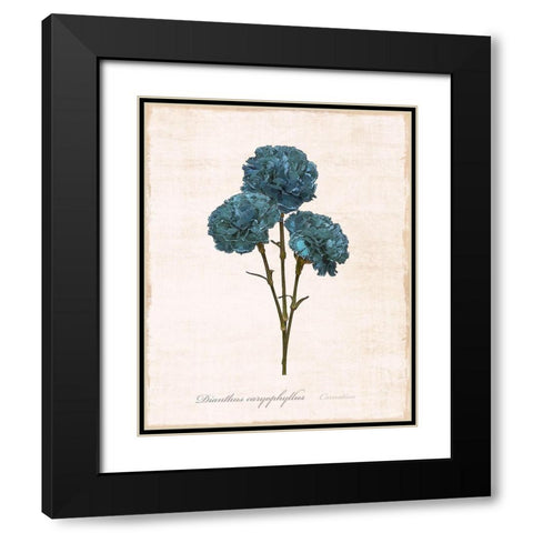 Sketchbook Carnation Black Modern Wood Framed Art Print with Double Matting by Carpentieri, Natalie