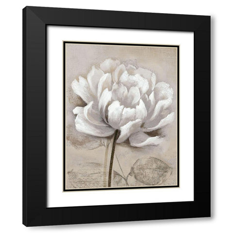 Soft White I Black Modern Wood Framed Art Print with Double Matting by Nan