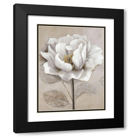 Soft White II Black Modern Wood Framed Art Print with Double Matting by Nan