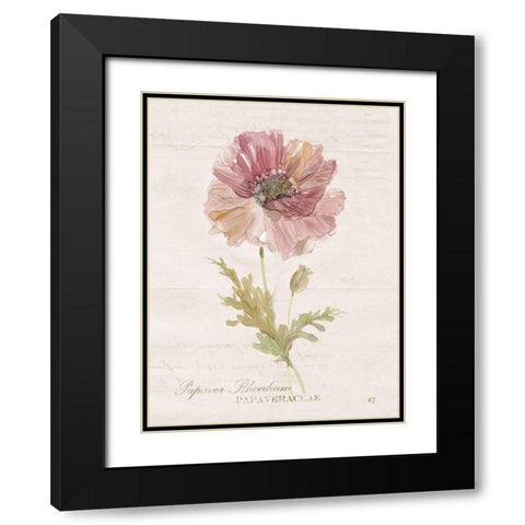 Soft Poppy Black Modern Wood Framed Art Print with Double Matting by Robinson, Carol