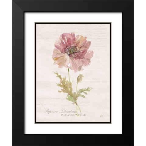 Soft Poppy Black Modern Wood Framed Art Print with Double Matting by Robinson, Carol