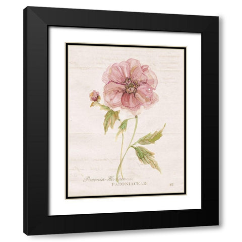 Soft Peony Black Modern Wood Framed Art Print with Double Matting by Robinson, Carol