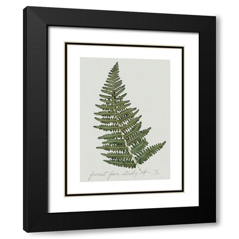 Fern Studies I Black Modern Wood Framed Art Print with Double Matting by Robinson, Carol