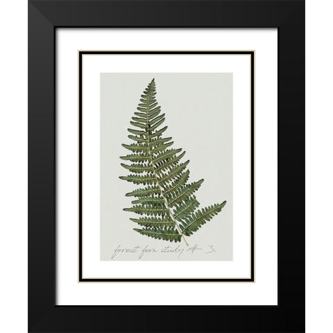 Fern Studies I Black Modern Wood Framed Art Print with Double Matting by Robinson, Carol