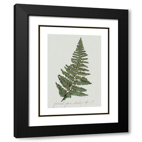 Fern Studies II Black Modern Wood Framed Art Print with Double Matting by Robinson, Carol