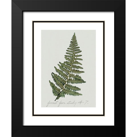Fern Studies II Black Modern Wood Framed Art Print with Double Matting by Robinson, Carol