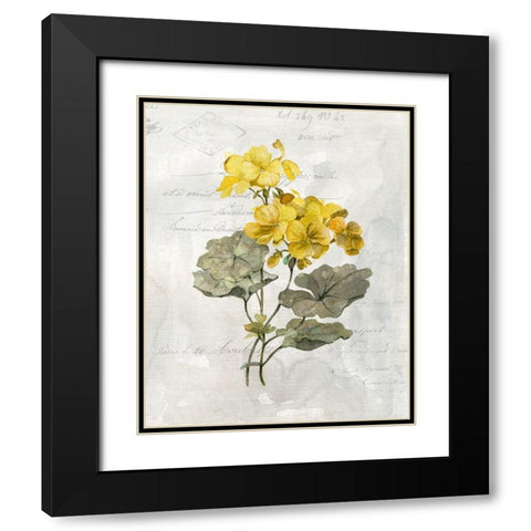 Canary Linen Geranium Black Modern Wood Framed Art Print with Double Matting by Robinson, Carol