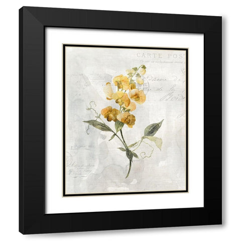 Canary Linen Sweetpea Black Modern Wood Framed Art Print with Double Matting by Robinson, Carol