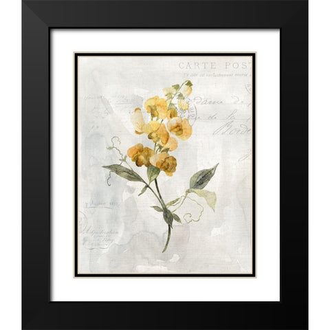 Canary Linen Sweetpea Black Modern Wood Framed Art Print with Double Matting by Robinson, Carol