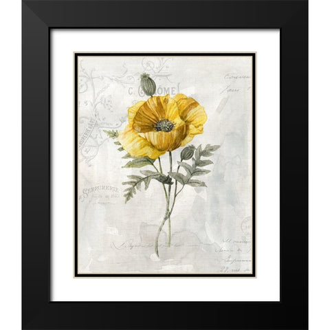 Canaray Linen Poppy Black Modern Wood Framed Art Print with Double Matting by Robinson, Carol