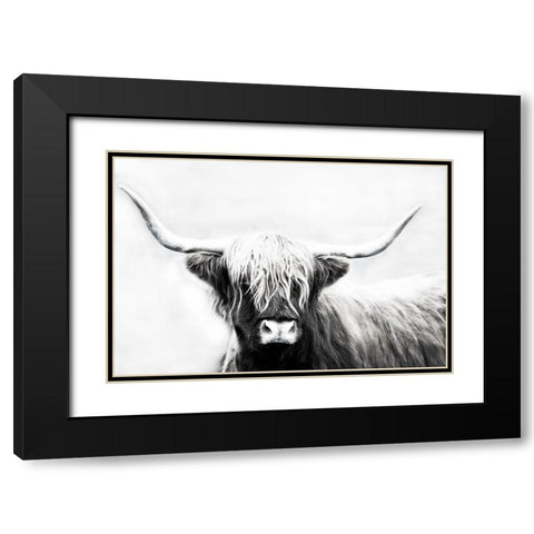 Highland Longhorn Black Modern Wood Framed Art Print with Double Matting by Edmonds, Cora