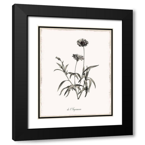 Sketchbook Imperial Black Modern Wood Framed Art Print with Double Matting by Donovan, Kelly