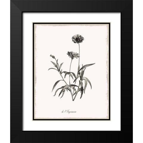 Sketchbook Imperial Black Modern Wood Framed Art Print with Double Matting by Donovan, Kelly