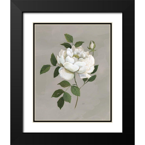 Botanical Rose Black Modern Wood Framed Art Print with Double Matting by Nan