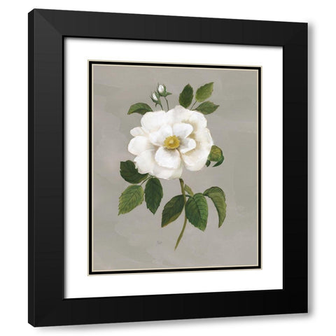 Botanical Garden Rose Black Modern Wood Framed Art Print with Double Matting by Nan