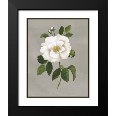 Botanical Garden Rose Black Modern Wood Framed Art Print with Double Matting by Nan