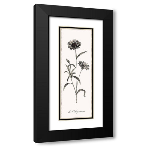 Slender Imperial Black Modern Wood Framed Art Print with Double Matting by Donovan, Kelly