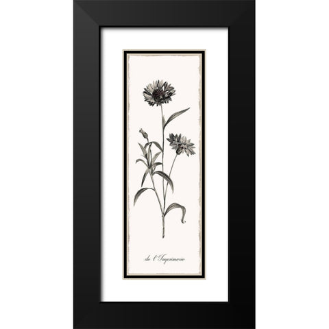 Slender Imperial Black Modern Wood Framed Art Print with Double Matting by Donovan, Kelly